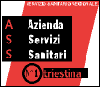 ASS 1 Triestina